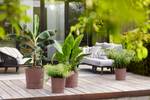 greensense aqua care round 43cm clay brown